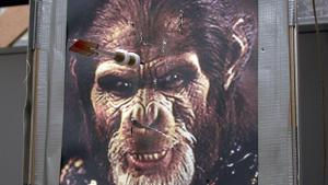 Monkey and Hunter Demo - Planet of the Apes image