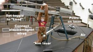 Monkey and Hunter Demo - setup instructions 2